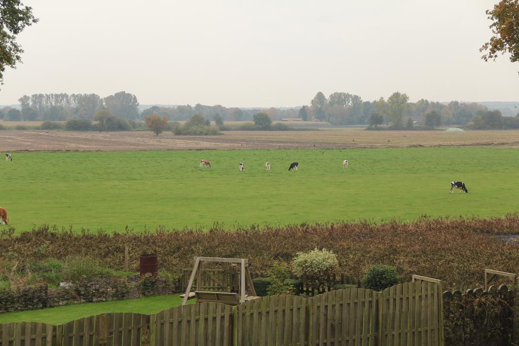Op De Borgh Villa Laar Exteriör bild